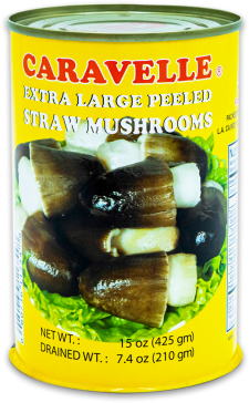 Tinned Termite Mushrooms - Canned Mushroom